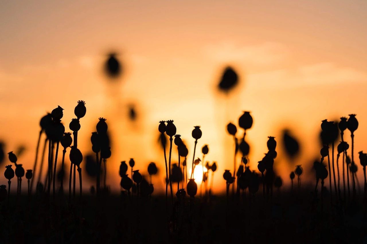 微信图片_20200107141540.jpg 微信图片_20200107141540.jpg