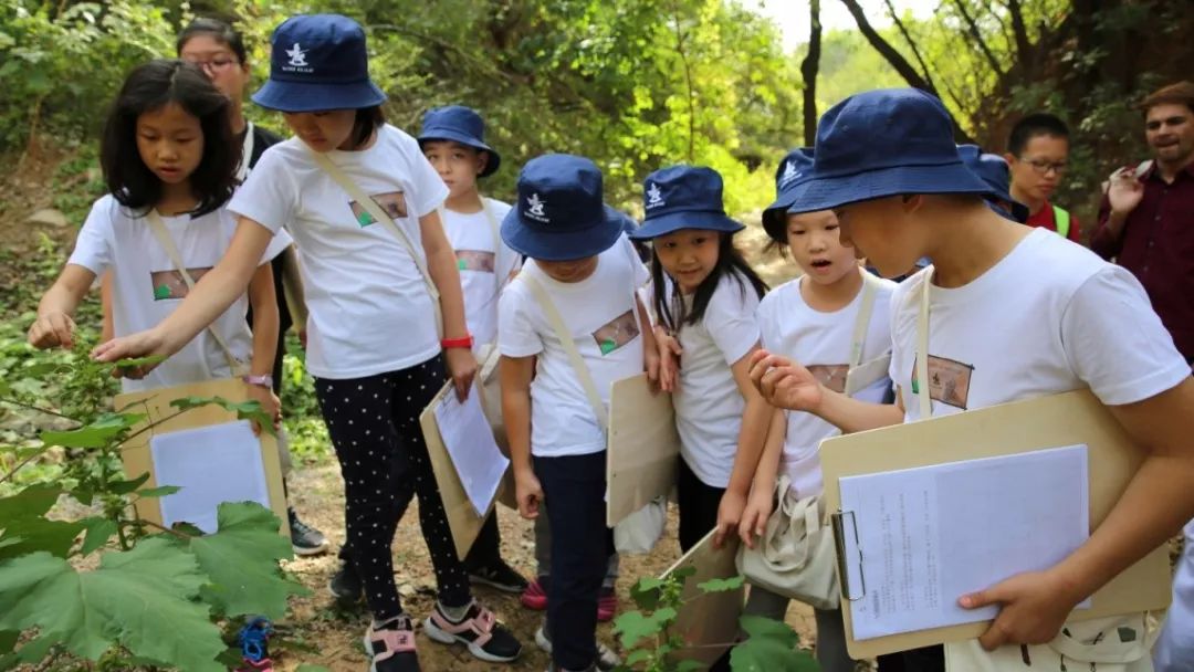 微信图片_20201229113845.jpg 微信图片_20201229113845.jpg