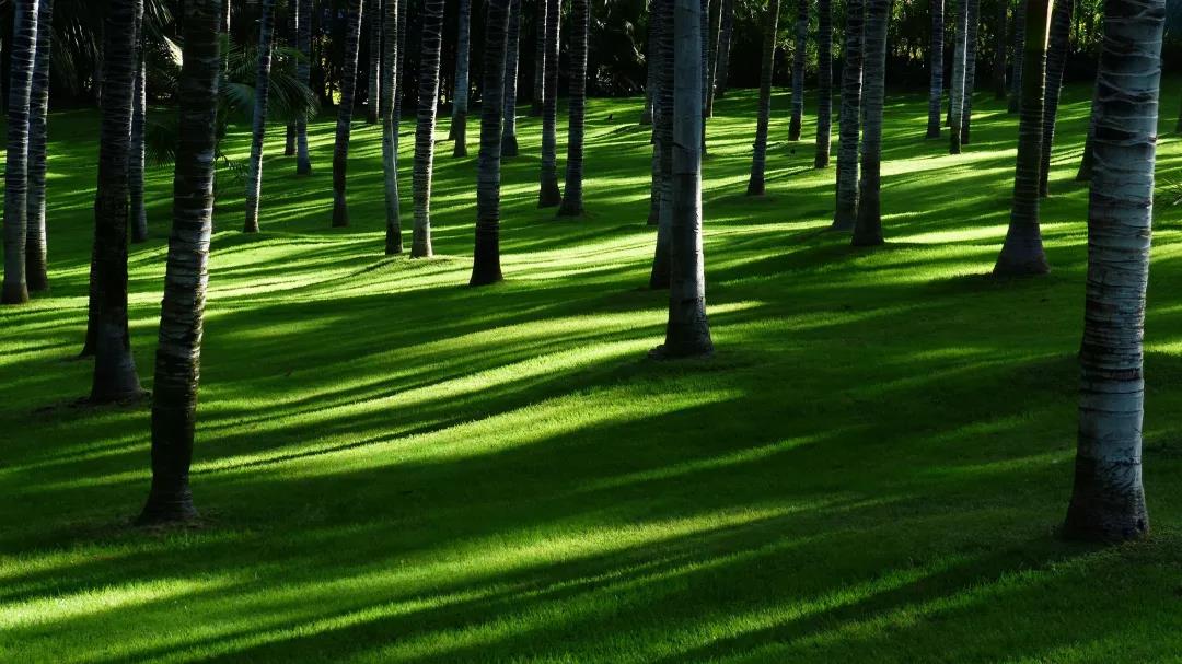 微信图片_20210108161104.jpg 微信图片_20210108161104.jpg