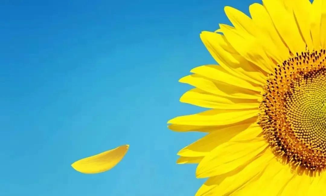 微信图片_20210303151652.jpg 微信图片_20210303151652.jpg