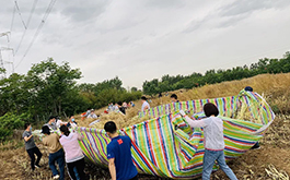 劳动课不应零敲碎打，这所学校的体系化设计有意思