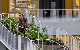 如何以自然植物环境，链接未来学校的新型学习生态场