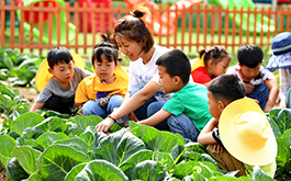 如何把新时代大中小学劳动教育落到实处？教育部9问答详解