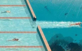 于素梅：体育教育，仅仅是身体教育吗？