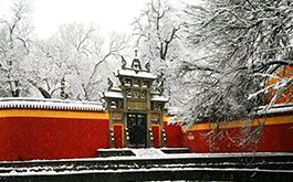 走出省门取真经，开拓市场谋发展——黔、豫、藏、深四省市学校文化建设考察学习