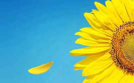 “十四五”开局之年，从这四个维度着力，方能为教育的高质量发展“开好局”！