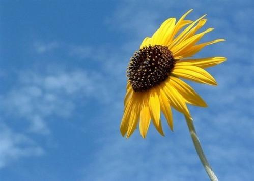 让“快乐无意识”成为学习的原点，是教育面向未来最根本的转折