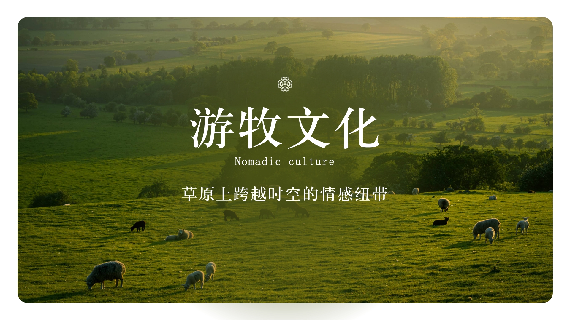 游牧文化：草原上跨越时空的情感纽带