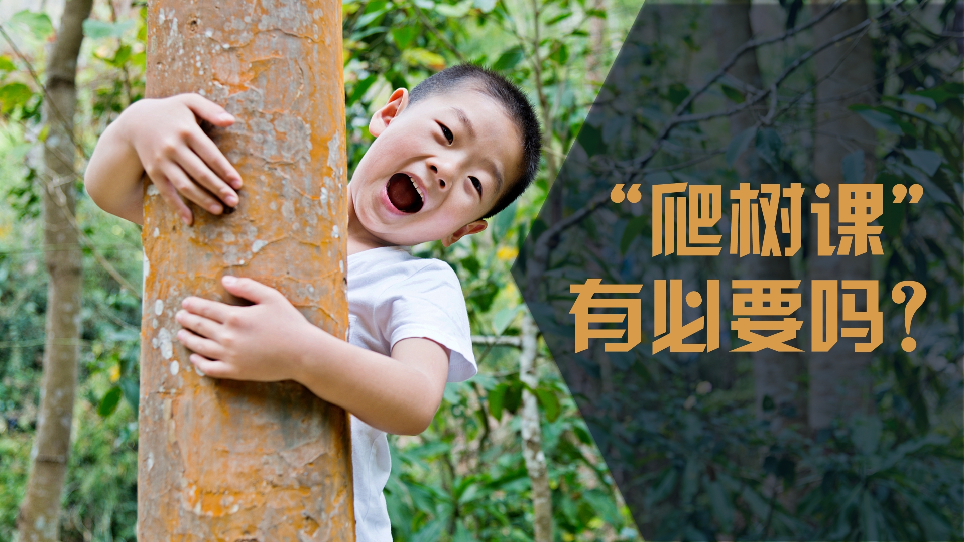 “要让每一位学生都会爬树”，“爬树课”值得推广吗？